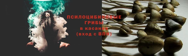 соль ск Абдулино